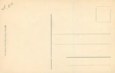 Strasburg — Katedra — widok z wieży, 1870 — Rewers