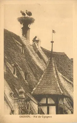 Obernai - Ninho de Corujas — editor H. Rumpler, Obernai