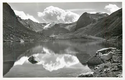 Schwarzsee — lac au Flüelapass (2389 m) — Verlag Otto Furter, Davos-Platz