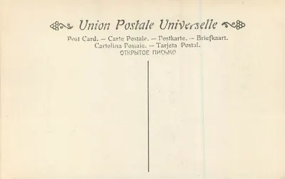 Raffaello — Ritratti di Uomini — Museo del Louvre, Parigi — Verso