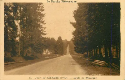 Floresta de BELLEME (Orne) — Estrada de Mortagne — O Perche Pitoresco