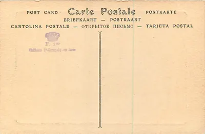Zamek w Saint-Germain — Katedra — Heliografia ND. Fot. nr 271 — Rewers