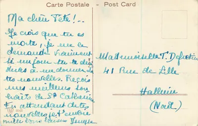 Tulipas e narcisos — Boa Festa — Carta postal — Verso