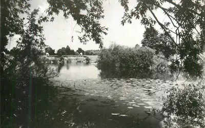 Arredores de Arcy-sur-Cure — Yonne — foto Collin Tonnay