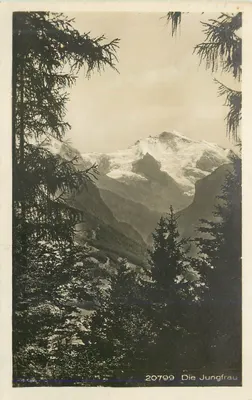A Jungfrau — vista panorâmica — Wehrli Verlag, n° 20799