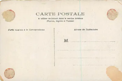 Bouquet de marguerites — wydawca nieznany, n° 241 — Rewers