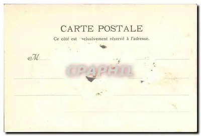 Ramal de eucalipto — L. Maillan, edit. — n° 501 — Verso