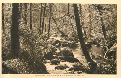 Huelgoat - Sous-bois à la rivière d'argent — Amaury