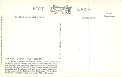 Sagrada Rosa de Glastonbury Abbey — Fabricação Britânica — n° 36888 — Verso