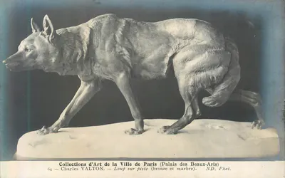 Lobo na pista — escultura de Charles VALTON — Palácio dos Belos-Artes, Paris