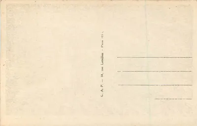 Chartres — Ogólny widok z lotu 100 metrów — LL 10 — Rewers