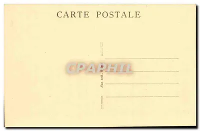 Les Salins-d'Hyères — A pinheira — n°2 — Verso