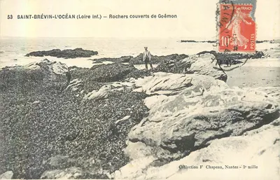 Saint-Brévin-l'Océan (Loire inf.) — Rochas cobertas de Goémon — Coleção F Chapeau, Nantes - 3e mille