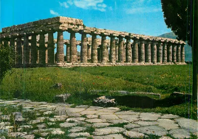 Paestum — Bazylika — Wyd. P.C. - Paestum nr 1004