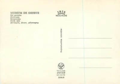 Sal gemado — Heringen, Hesse, Alemanha — Éditions Jaeger, n° 2189/9 — Verso