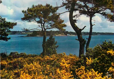 Ilha dos Monks (Morbihan) — Vista geral do golfo — Edições de Arte JOS