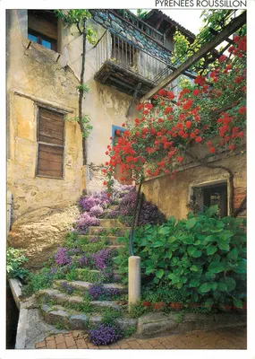 Escada florida nas Pirinéus-Roussillon — Objectif Sud