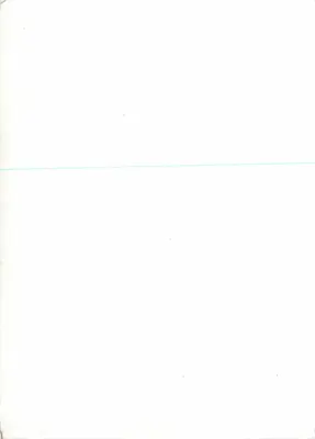 Carta postal decorada com uma caligrafia árabe e um pássaro estilizado — decoração floral — editor e número de série ilegíveis — Verso