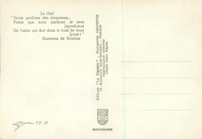 Dzika kaczka — Wydawnictwo Diplôme — P.F. 37 — Rewers