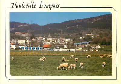 Hauteville Lompnes — vista panorâmica com ovelhas — Éditions CELLARD