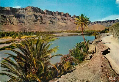 Vale e o rio Draâ — Região de Ouarzazate — Edições Cigogne