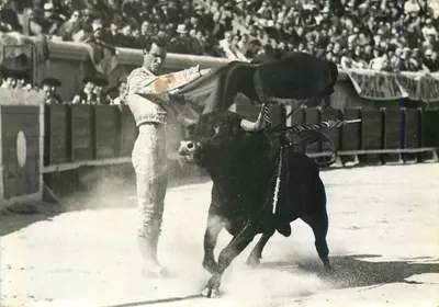 Toreador e touro — arena de luta — Foto George, Arles-en-Provence