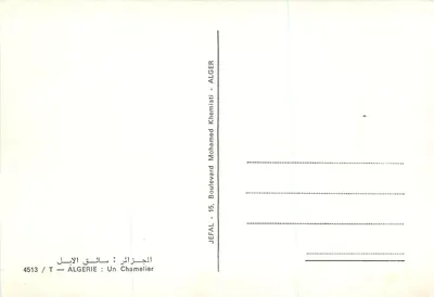 Chamelier — Algieria — Jefal — wydawca Mohamed Khemisti, nr 4513 — Rewers