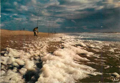 Pesca com lança na Costa Atlântica — Séignosse — Edições Moderne & Théophile