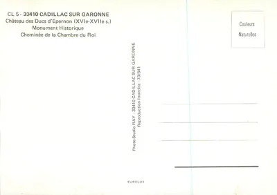 Castelo dos Dukes de Epernon — Lareira da Sala do Rei — Photo-Studio RAY — Verso