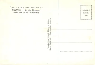 Colmar — Gniazdo kruków z widokiem na katedrę — Foto J. Arnold, Wydawnictwo Collin — Rewers