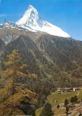Matterhorn — Zermatt, 1936 m — Copyright by A. Perren-Barberini, n° 2590