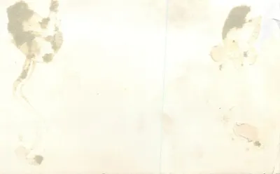 Citronnier — port z jachtami — datowany około 1959 — Rewers