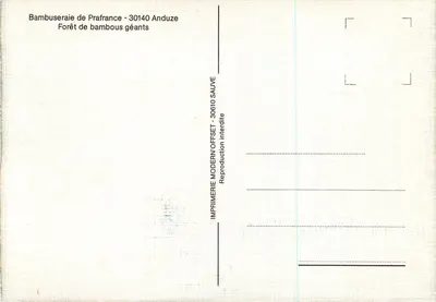 Floresta de bambus gigantes — Bambuseraie de Prafrance — Imprimerie Modern Offset Sauve — Verso