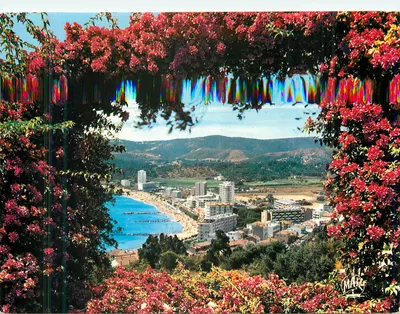 A Costa Azul — LE LAVANDOU (83980) — Vista geral — Les Éditions « MARO »