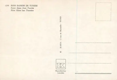 Camelus bebendo em uma valeta — Tunísia — Kahia, Marselha — Verso