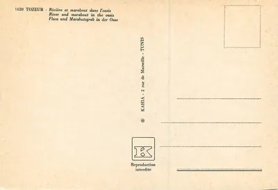 Tozeur — Fiume e mausoleo nell'oasi — Kahia, Tunisi — Verso
