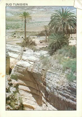 Bilhete postal moderno Sul Tunisiano uma Oasis de Montanha Mides