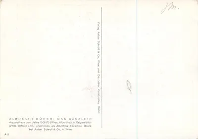 Coruja — reprodução da gravura aquatinta de Albrecht Dürer de 1508 — edição Anton Schroll & Co. — Verso