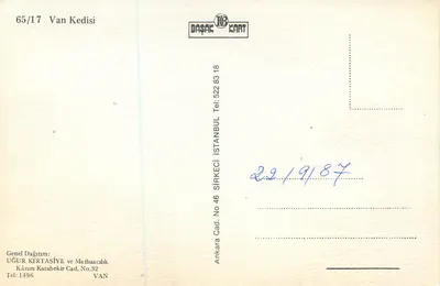 Gato branco — Van — editor Başak Kart, n°65/17 — Verso