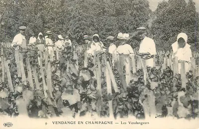 Colheita na Champagne — Os Colhedores — E.D. n°9