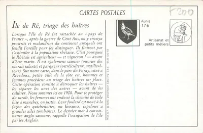 Wyspa Ré — Sortowanie ostryg w Parc du Puray — Cliché D. P. n°31 — Rewers