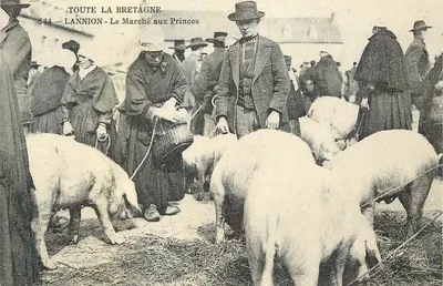 Lannion - O Mercado dos Príncipes — Toda a Bretanha, n°534