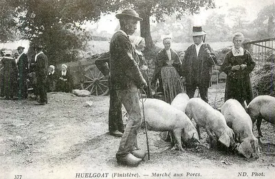 Huelgoat (Finistère) — Feira de Porcos — ND. Fot.