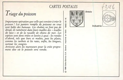 Boulogne-sur-Mer — Triagem do peixe antes da leilão — AP — Verso
