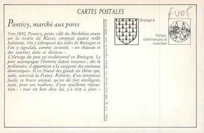 Pontivy — Het Varkensmarkt — Economische oven en ingang van het ziekenhuis — Achterkant