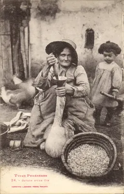 Gavage de uma ganso — Tipos Pirineus 24 — Fototipo Labouche Frères, Toulouse