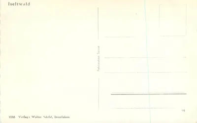 Jezioro Brienz — widok panoramiczny z wyspą — Verlag Walter Schild, Interlaken, n° 1226 — Rewers