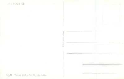 Iseltwald — widok jeziora z zamkiem na wyspie — Verlag Walter Schild, Interlaken, n° 1060 — Rewers