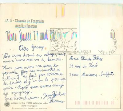 Coruja de Tengmalm — Aegolius funereus — edições mythra — Verso