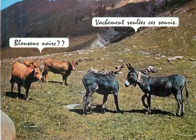 Vacas e burros na montanha — brincadeira com as cores — Lyoncolor